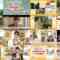 240619 Chiba Asa Live Morning Compass 0730 – ex-AKB48 Yoshikawa Nanase – HD.mp4