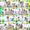 240619 DayDay. – ex-NMB48 Shibuya Nagisa Cut – FHD.mp4