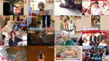 240620 Doubutsu Scoop 100 Renpatsu – ex-Nogizaka46 Takayama Kazumi – HD.mp4