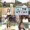 240621 Shichouson Tekuteku Sanpo – ex-AKB48 Iriyama Anna – HD.mp4