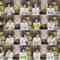 240626 Nekojita SHOWROOM – Nogizaka46 Shibata Yuna, Hayashi Runa – FHD.mp4