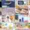 240628 Megami no Marche – ex-AKB48 Oshima Mai – HD.mp4
