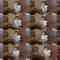 240703 [Speaking of Osaka] The Famous Modern-yaki – NMB48 Haga Rei – FHD.mp4