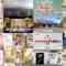 240704 Chiba Asa Live Morning Compass 0730 – ex-AKB48 Yoshikawa Nanase – HD.mp4