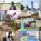 240705 Shichouson Tekuteku Sanpo – AKB48 Oguri Yui – HD.mp4