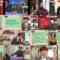 240706 New Shi Selectio – ex-Hinatazaka46 Kageyama Yuuka – HD.mp4