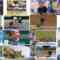 240707 Ariyoshi ii eeeee! – Nogizaka46 Kuromi Haruka – HD.mp4