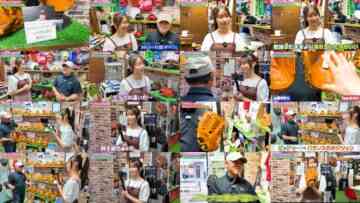 240712 Kuromi Haruka’s ABEMA Baseball Report 7 – Nogizaka46 Kuromi Haruka – FHD.mp4