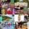 240715 Quiz Presen Variety Q Sama!! 3Hours SP – ex-Nogizaka46 Takayama Kazumi, Yamazaki Rena – HD.mp4