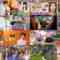 240716 Kazlaser to Manabu. – ex-AKB48 Muto Tomu – HD.mp4