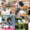 240720 Doyou wa Nani Suru! – EX6NMB48 Shibuya Nagisa – HD.mp4