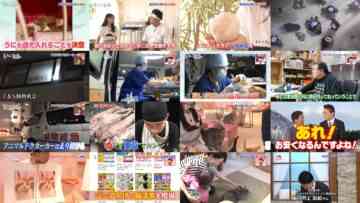 240724 Neko Jiman – ex-AKB48 Kuramochi Asuka – HD.mp4