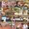 240730 Banana Sand SP – ex-Nogizaka46 Yamashita Mizuki – HD.mp4