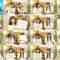240805 Boku ga Mitakatta Aozora SHOWROOM Relay Delivery – FHD.mp4