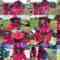 240807 SKE48 8th Generation Members Experience Beekeeping at Miyabi Beekeeping – FHD.mp4