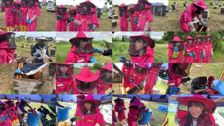 240807 SKE48 8th Generation Members Experience Beekeeping at Miyabi Beekeeping – FHD.mp4