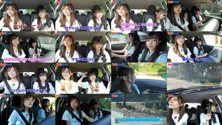 240811 [Idol Drive] AKB48 Mizushima Miyuu Big Driving Mission! [Driving to Fuji Safari Park With Senpai Hashimoto Haruna] – AKB48 Hashimoto Haruna, Mizushima Miyuu – FHD.mp4