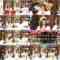 240813 Kayou wa JOY Don! – Nearly Equal JOY – FHD.mp4