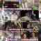 240815 Naze Soko – ex-Nogizaka46 Akimoto Manatsu – HD.mp4