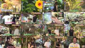 240823 Chiba Asa Live Morning Compass – ex-AKB48 Yoshikawa Nanase Cut – HD.mp4
