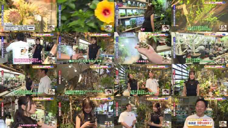 240823 Chiba Asa Live Morning Compass – ex-AKB48 Yoshikawa Nanase Cut – HD.mp4