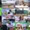 240824 1-Po 1-Yen! Walking Taiketsu Tabi Preparation Review SP – ex-AKB48 Shimazaki Haruka – HD.mp4