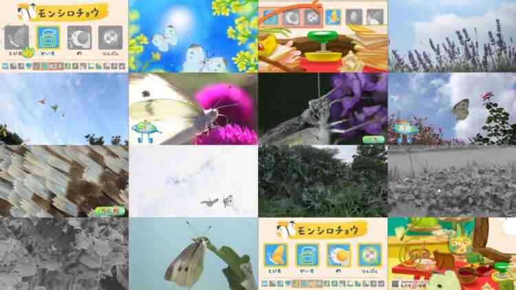 240824 Monosugoi Zukan 5min Edition [Cabbage White Butterfly] – ex-AKB48 Kawaei Rina [Narration] – HD.mp4