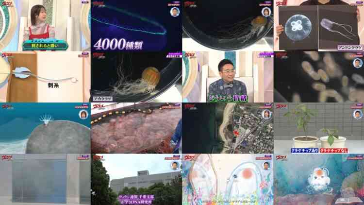 240824 Villain no Iibun Selection – ex-AKB48 Oya Shizuka – HD.mp4