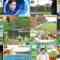 240825 Mirai Monster – AKB48 Oguri Yui – HD.mp4
