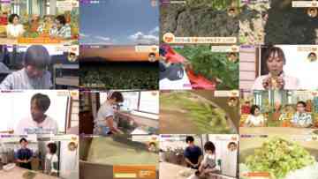 240825 Umai! – ex-SKE48 Suda Akari – HD.mp4
