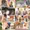 240828 M League No.1 he no Michi BEAST ROAD 61 – ex-Nogizaka46 Nakada Kana – HD.mp4