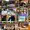 240905 Naze Soko – ex-Nogizaka46 Akimoto Manatsu – HD.mp4
