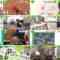 240910 DayDay. – ex-HKT48 Sashihara Rino – HD.mp4