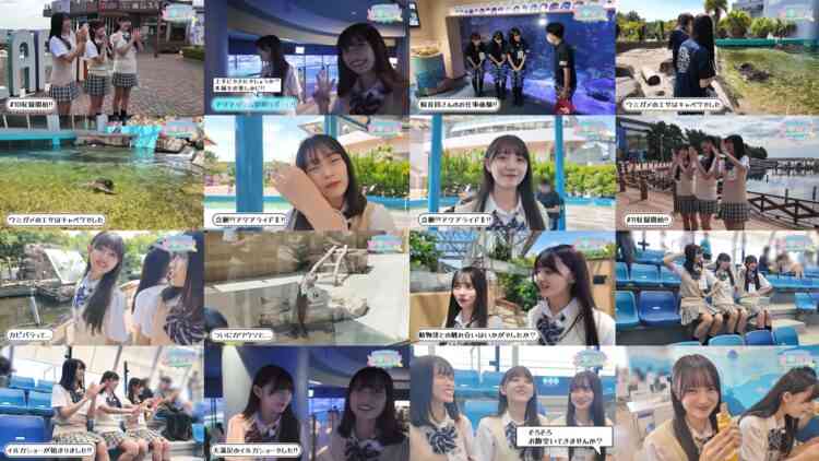 240914 [Backside Revealed] [AKB48 Kenkyuusei no WOW!!!] 10,11 Behind-the-scenes Of Location Recording! [Hakkeijima Sea Paradise] – AKB48 Ito Momoka, Kubo Hinano, Arai Sae – FHD.mp4