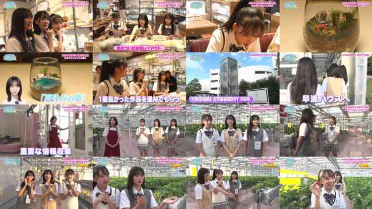 240920 AKB48 Kenkyuusei no WOW!!! 12 – FHD.mp4