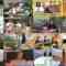 240921 Bessatsu! King Brunch – ex-Nogizaka46 Akimoto Manatsu – HD.mp4