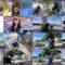 240927 [Morning Market] Ogawa Went To Katsuura To Eat The Best Breakfast! [Morning Activity] – Nogizaka46 Ogawa Aya – FHD.mp4