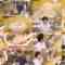 240929 Ramen Walker TV2 390 – ex-SKE48 Takayanagi Akane – HD.mp4