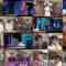 241002 Kamai Gachi – ex-NMB48 Shibuya Nagisa – HD.mp4