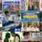 241005 Ikegami Akira no News Sodattanoka!! – Nogizaka46 Ikeda Teresa – HD.mp4