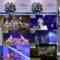 241005 NMB48 14th Anniversary Just Before Special Minna de Furikaeru Shuunen Live – FHD.mp4