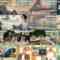 241005 Nakai Masahiro no Doyoubi na Kai 1130 – Hinatazaka46 Matsuda Konoka – HD.mp4