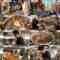 241008 Ramen wo Taberu. – Equal LOVE Otani Emiri – HD.mp4