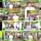 241008 ex-NMB48 Umeda Ayaka’s TV News – DayDay. – FHD.mp4