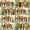 241009 Showroom – SP Nekojita SHOWROOM – Nogizaka46 – HD 184608.mp4