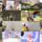 241010 Stretch-man Gold – ex-Nogizaka46 Ikoma Rina – HD.mp4