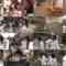 241011 Shin YNN NMB48 CHANNEL – GSGK17 Genchi Shuugou Genchi Kaisan 2 – HD.mp4
