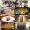 241013 Shuichi – ex-Nogizaka46 Matsumura Sayuri Cut – FHD.mp4