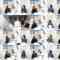241015 AKB48 Onishi Momoka no SHIBUYA DE PARADISE!! – ex-AKB48 Onishi Momoka & AKB48 Nagano Serika, Hama Sayuna – HD.mp4