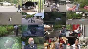 241027 Document 72 Hours – ex-AKB48 Kawaei Rina [Narration] – HD.mp4